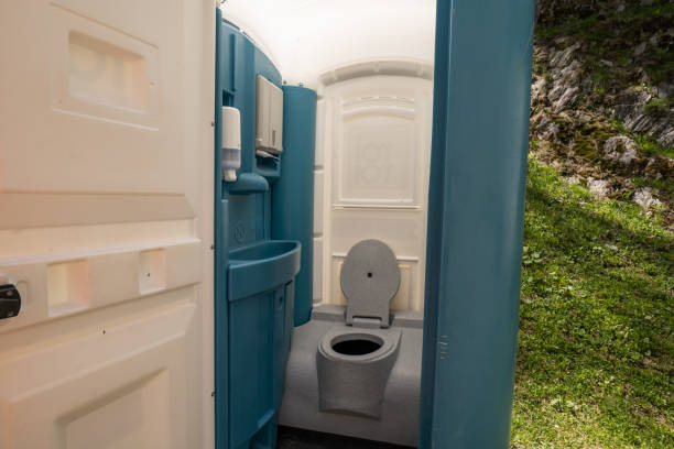 Best Affordable portable toilet rental  in Berrien Springs, MI